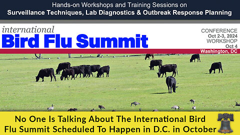 No One Is Talking About The International Bird Flu Summit Scheduled To Happen in D.C. in October