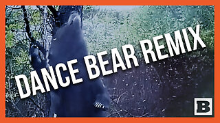 "Groovy" Brown Bear Scratches His Back -- Dance Remix!