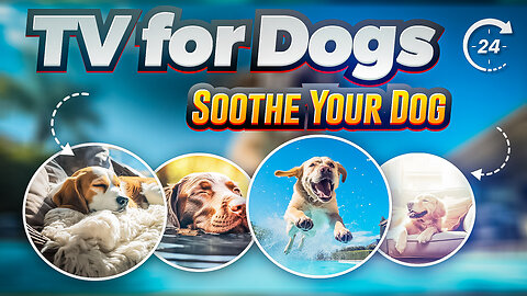 Soothe Dog's Anxiety: 8 Hours of Dog TV - Anti Anxiety & Boredom Busting Videos with Music for Dogs