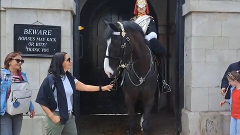 Tourist gets away with holding the reins #horseguardsparade