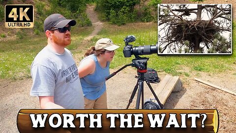 You Won't Believe The Shots We Waited HOURS For — EV Road Trip to Farragut State Park (Part 2) [4K]