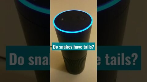 Do snakes have tails? - answered by Alexa