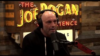 Joe Rogan: Labeling People Like Pool, Nawaz, and James O’Keefe Alt-Right Is Fu*king Nonsense