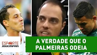 Repórter DESABAFA e fala a verdade que o Palmeiras ODEIA!