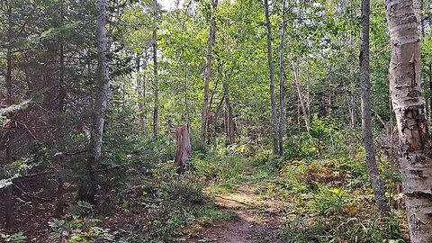 Rotary Friendship Park Summerside PEI