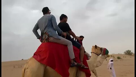 Camel Ride gone wrong!!😱😱