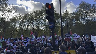 London pro Palestine protests November the 11th