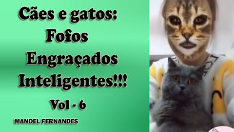 Cães e gatos: Fofos, engraçados e inteligentes!!! vol - 6