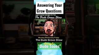 Subscribe and Ask Us Anything! Cannabis Growing.;Expert Techniques. The Dude Grows Show 🔥