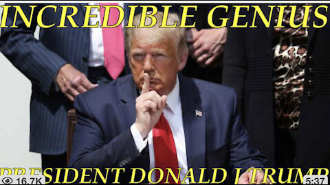 Incredible Genius President Donald J Trump