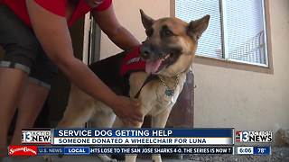 Service dog gets wheelchair from Facebook donor