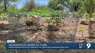 Local garden educates community on ancient indigenous gardening