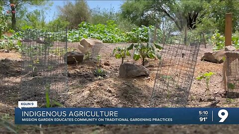 Local garden educates community on ancient indigenous gardening