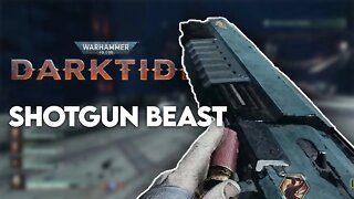 Everyone Should Use This Shotgun As The Zealot Preacher In Warhammer 40K Darktide