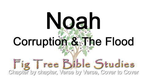 Noah (Corruption & The Flood)