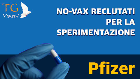 TG Verità - 15 dicembre 2021 - Pfizer recluta i No-Vax per la sperimentazione...