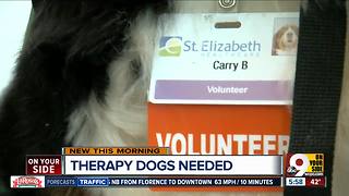 St. Elizabeth's is looking for a few good dogs to spend time with patients