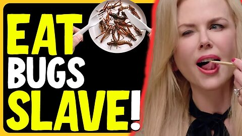 They Want You To Eat Bugs While They Eat Waygu
