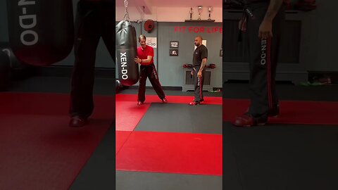 Front kicks #martialart #kickboxing #martialartstraining #taekwondo #martialartskick #frontkick