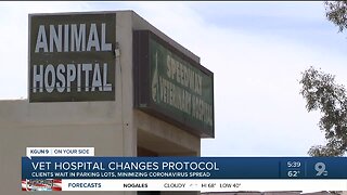 Tucson veterinary hospital changes protocol as coronavirus fears grow