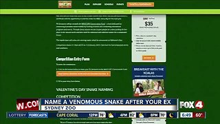 Name a venomous snake after your ex