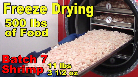 Freeze Drying Your First 500 lbs of Food - Batch 7 - Shrimp Meat
