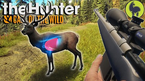 Elk-letric Connections, Hunt Club Beta | theHunter: Call of the Wild (PS5 4K 60FPS)