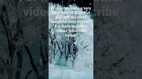 Wonderful Winter Wonderland Beautiful Snow Fall Slide Show In 4K #winter #snow #2023 #subscribe