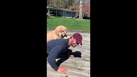 Adorable puppy helps owner with his workout