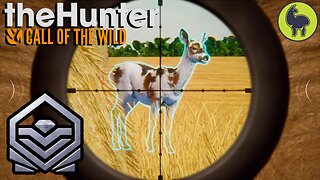 Diamond & Rare Montage #10 | theHunter: Call of the Wild (PS5 4K 60FPS)