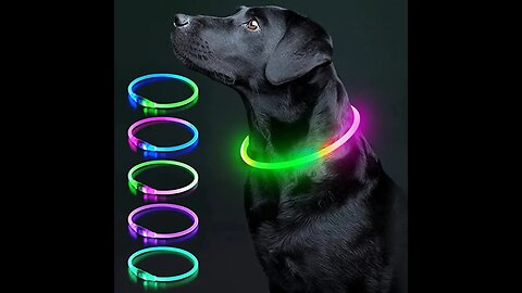 Keep Your Pup Safe and Stylish with These LED Collars!