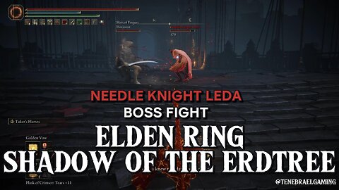 NEEDLE KNIGHT LEDA #eldenring #shadowoftheerdtree #BOSSFIGHT