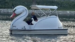 I took my duck to Swan Boats 🦢