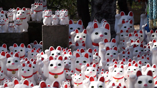 This Japanese Temple Features 1000 Lucky Cat Dolls