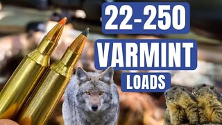 22-250 Varmint Ammo Testing