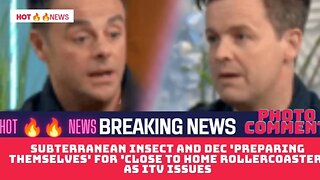Subterranean insect and Dec 'preparing themselves' for 'close to home rollercoaster' as ITV issues