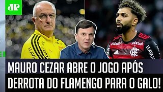 "É INFORMAÇÃO! Uma coisa que VAI ACONTECER no Flamengo é..." Mauro Cezar ABRE O JOGO!