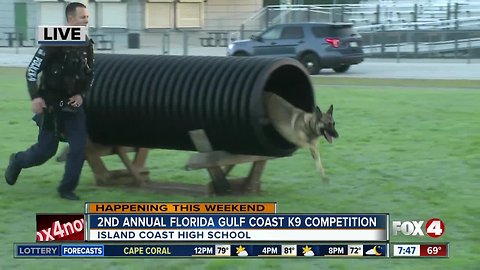 Police dogs compete in 2nd annual Florida Gulf Coast Police K9 Competition Saturday