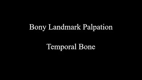 Bony Landmark Palpation - Temporal Bone (Skull)