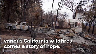 Photos Show Where Calif. Wildfire Charred Entire Town But Left This 1 Cross Untouched