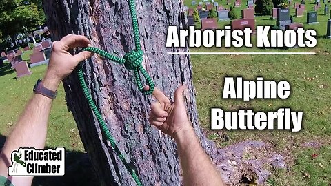 Alpine Butterfly | Arborist Knots