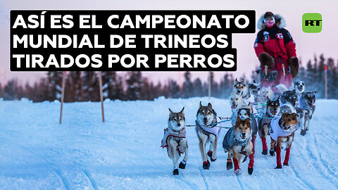 Campeonato Mundial de Carreras de Trineos Tirados por Perros en Anchorage