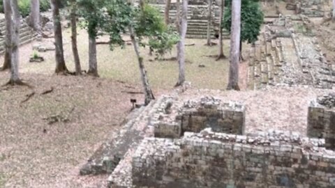 Honduras Mayan Temple Adventure