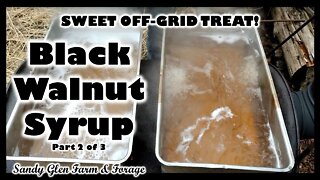 Sweet Off-Grid Treat: Black Walnut Syrup (part 2 of 3)