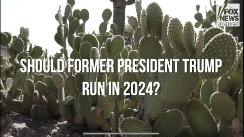 Fox News: “Should Trump Run in 2024?”