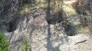 Yellowstone National Park's Norris Geyser Basin