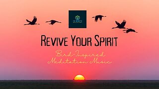 Revive Your Spirit: Bird-Inspired Meditation Music #meditation #relaxing #10minutesmeditation