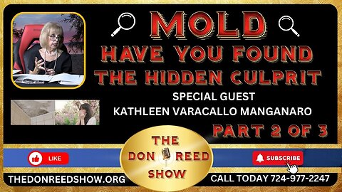 KATHLEEN VARACALLO MANGANARO - MOLD ISSUES? - HAVE YOU FOUND THE HIDDEN CULPRIT? P2