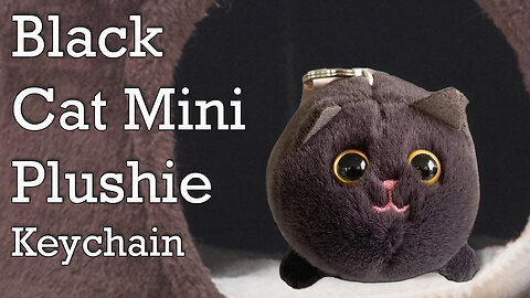 Black Cat Mini-Plushie Keychain - Product Showcase