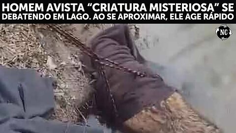 Homem avista “criatura misteriosa” se debatendo em lago. Ao se aproximar, ele age rápido